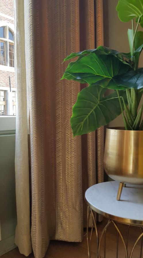 - Chique Appartement